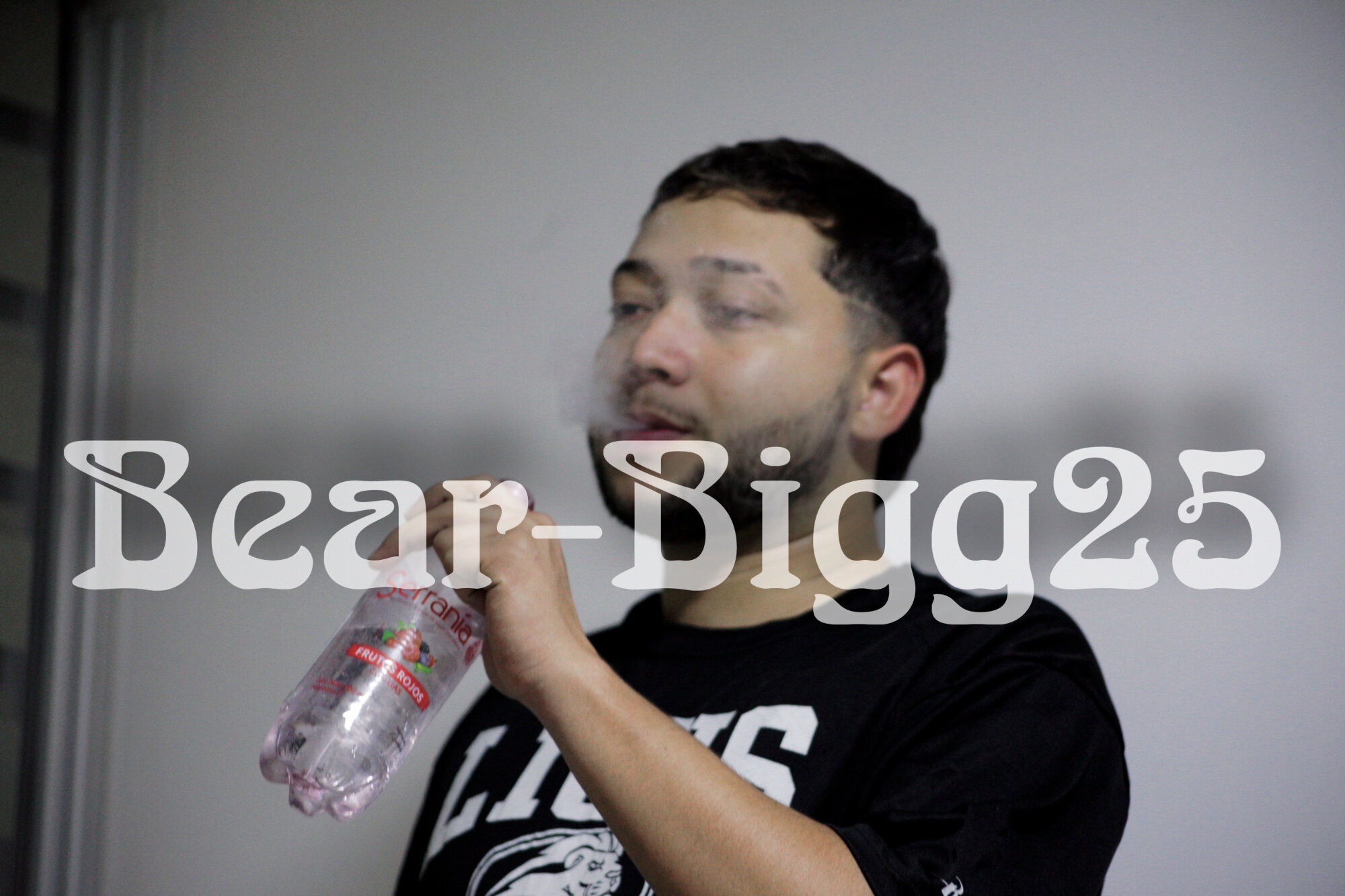 Bear-bigg25