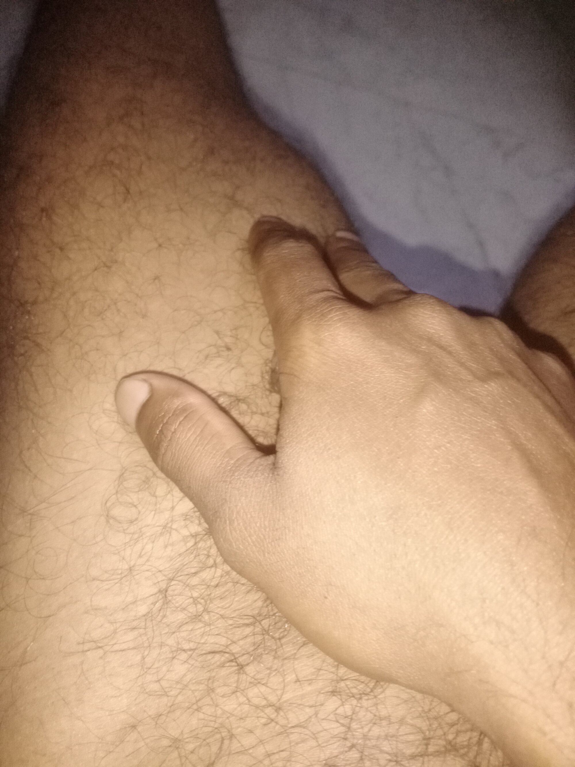 Marathi_bull live webcam