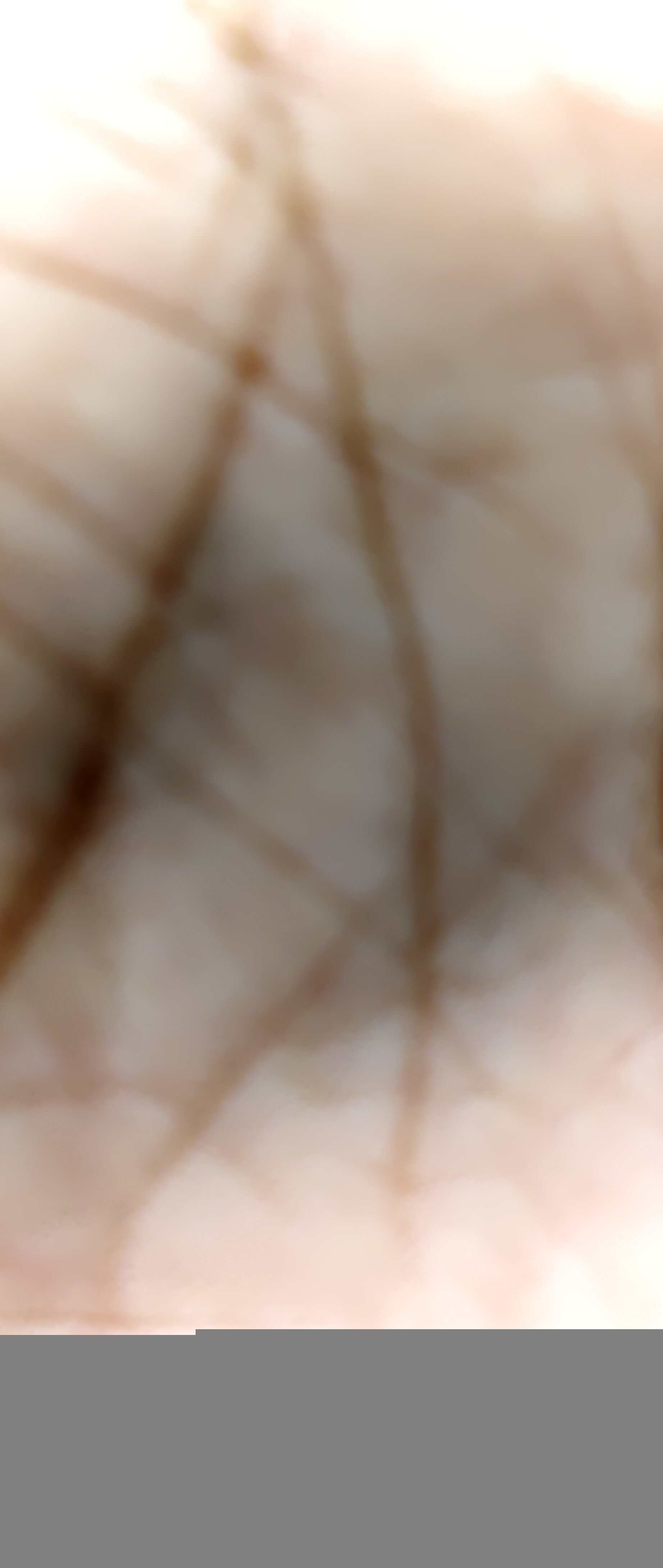 Sony_4545