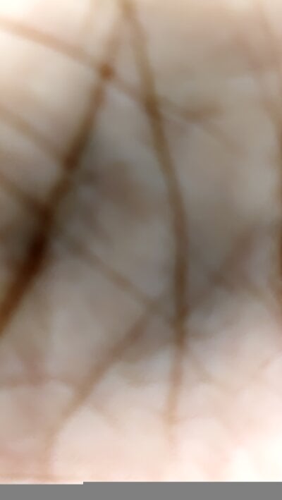 Sony_4545