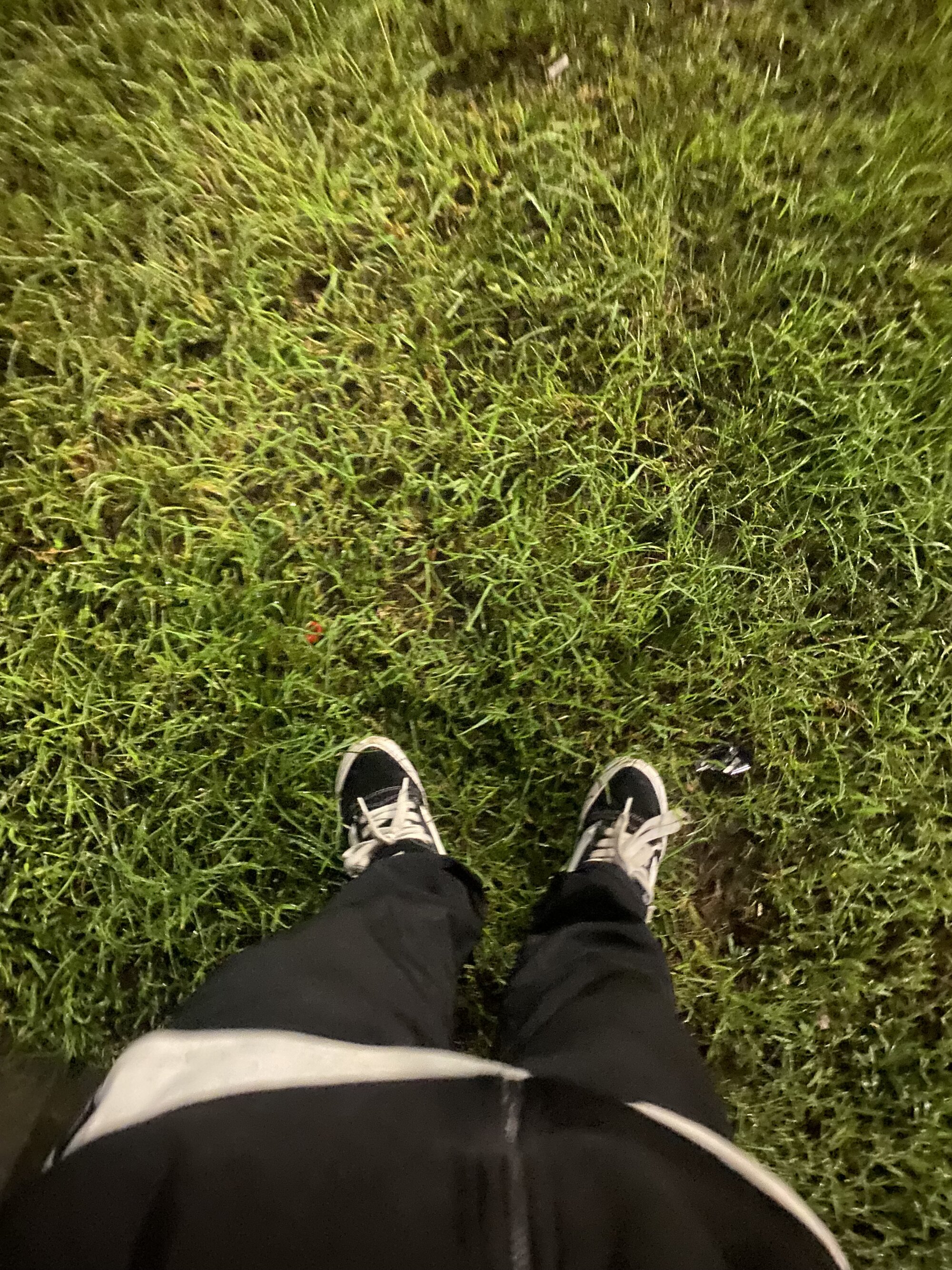 sexytripme