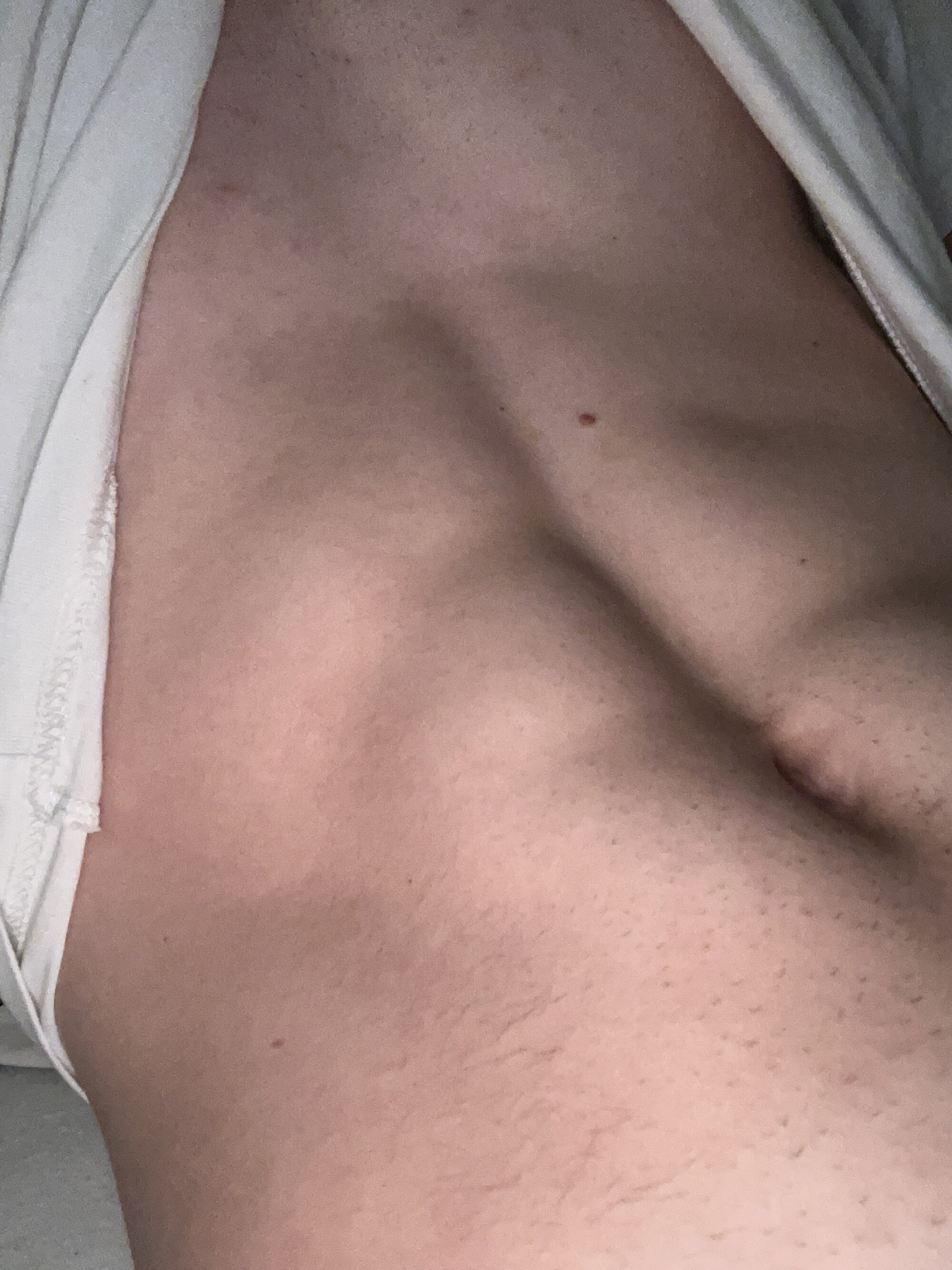 Dutchboy_19