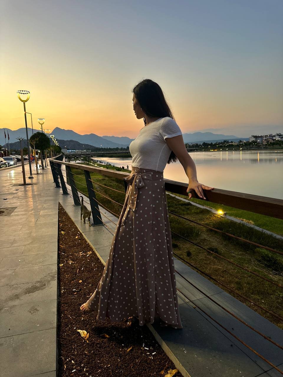 Pink-dreamss
