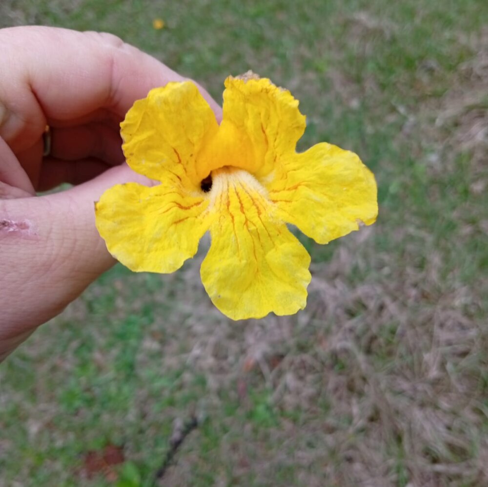 box111's Offline XXX Chat