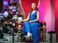 Модель Merybeks