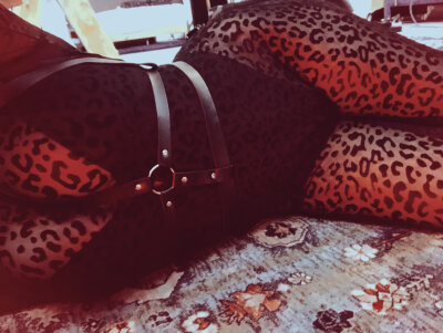 CountessCecilia Avatar