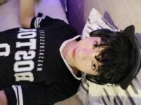 Модель Sweet_Allan