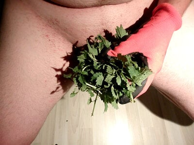 wezmnie12334 profile