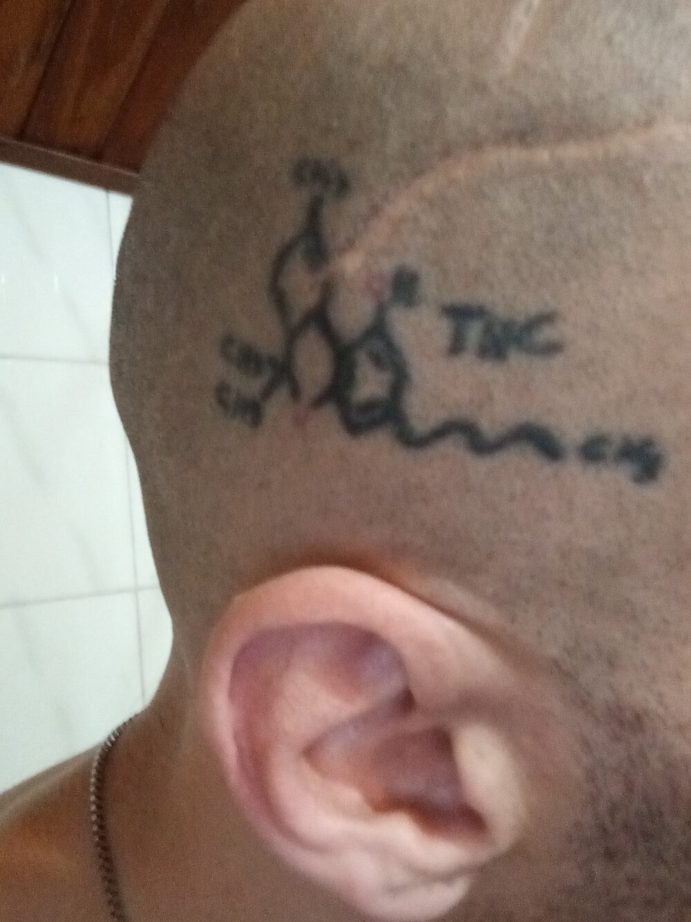 Jota2544's Offline XXX Chat