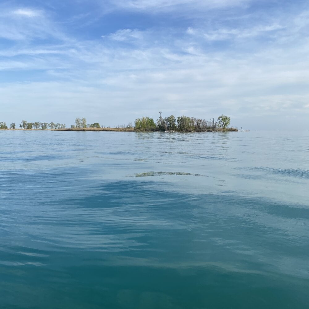 DAJ4002's Offline XXX Chat