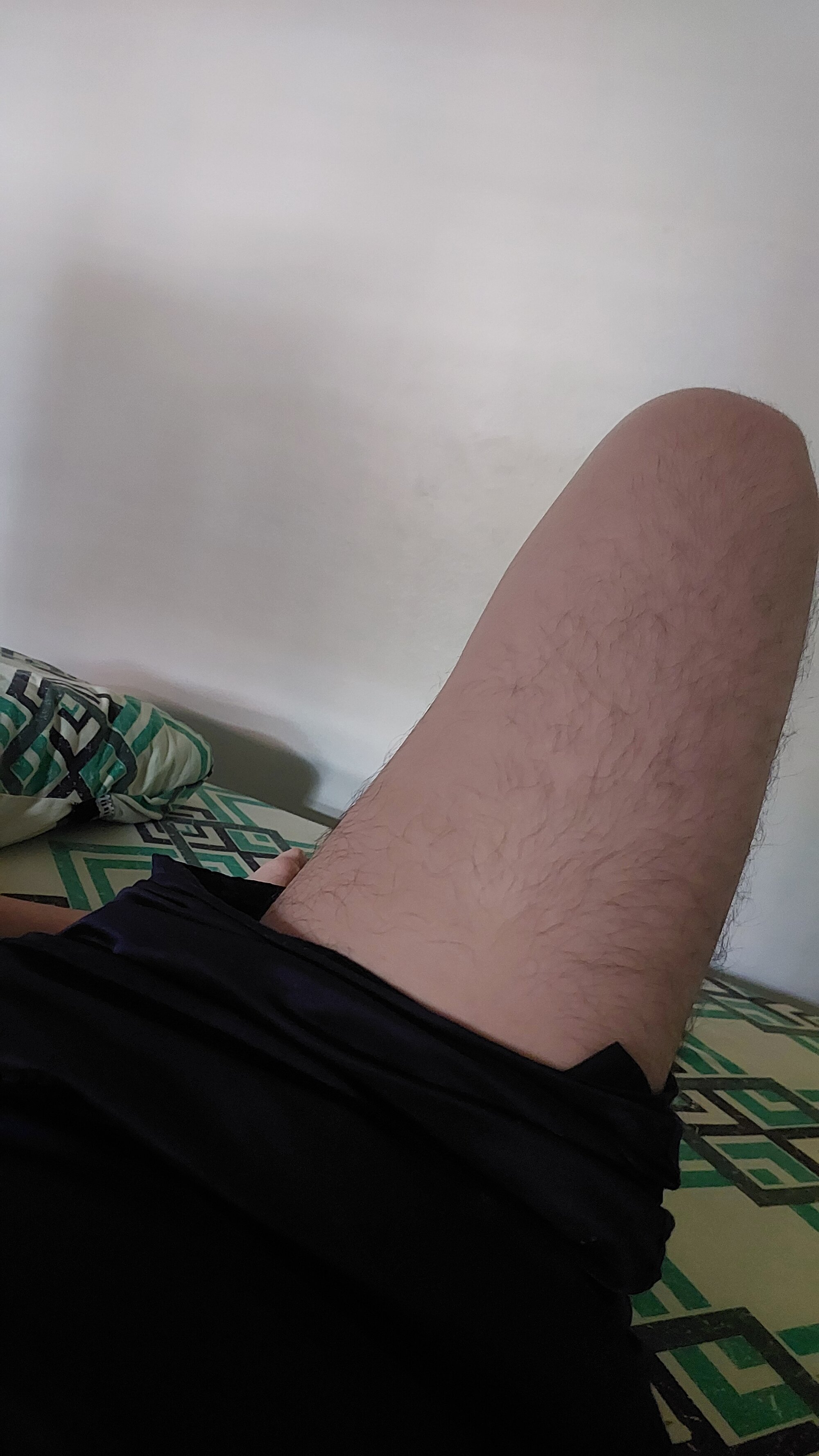 Exibidonovinhopp
