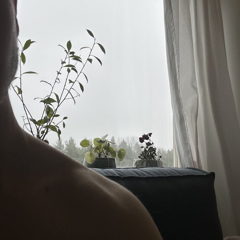 hornyswedish profile