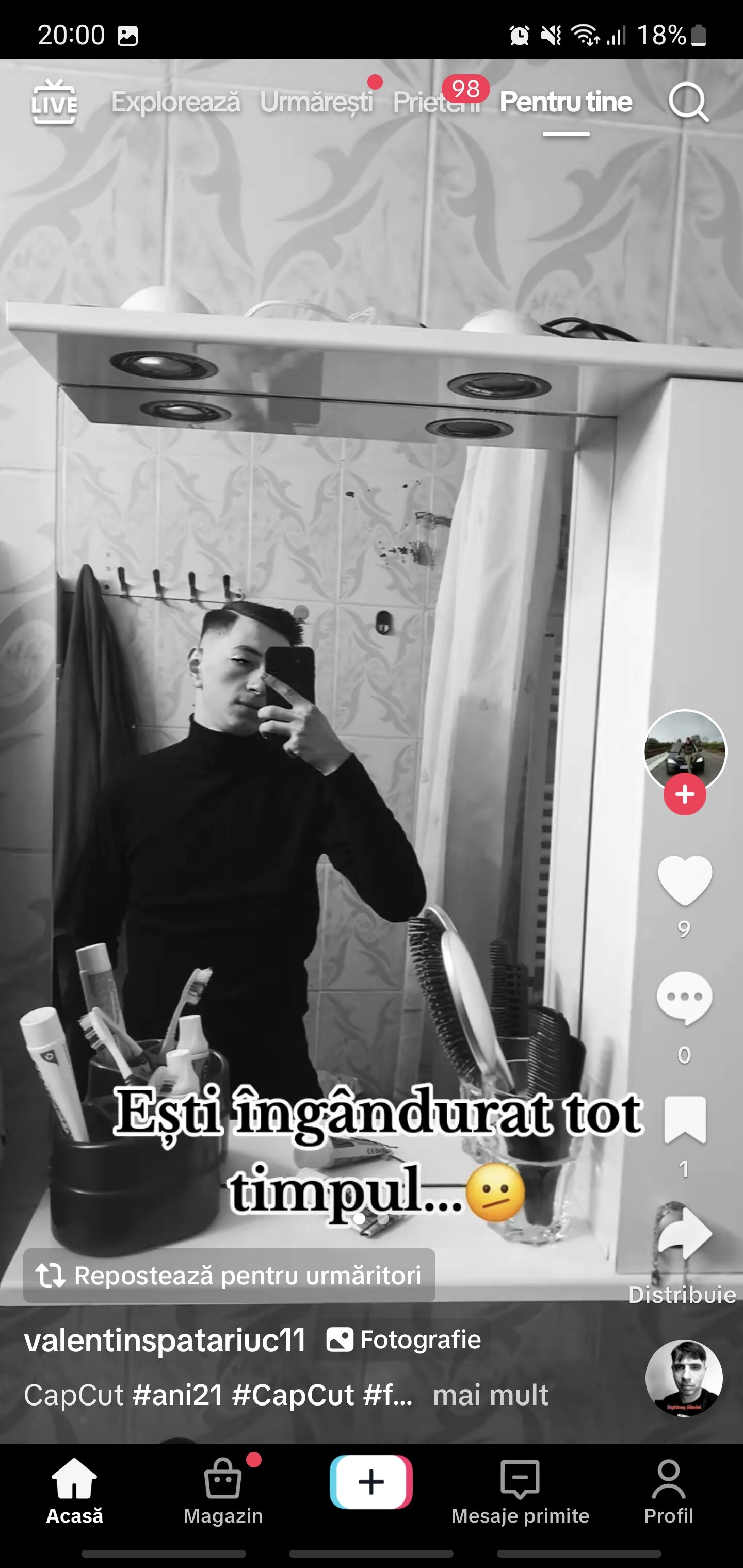 nimenialtul01