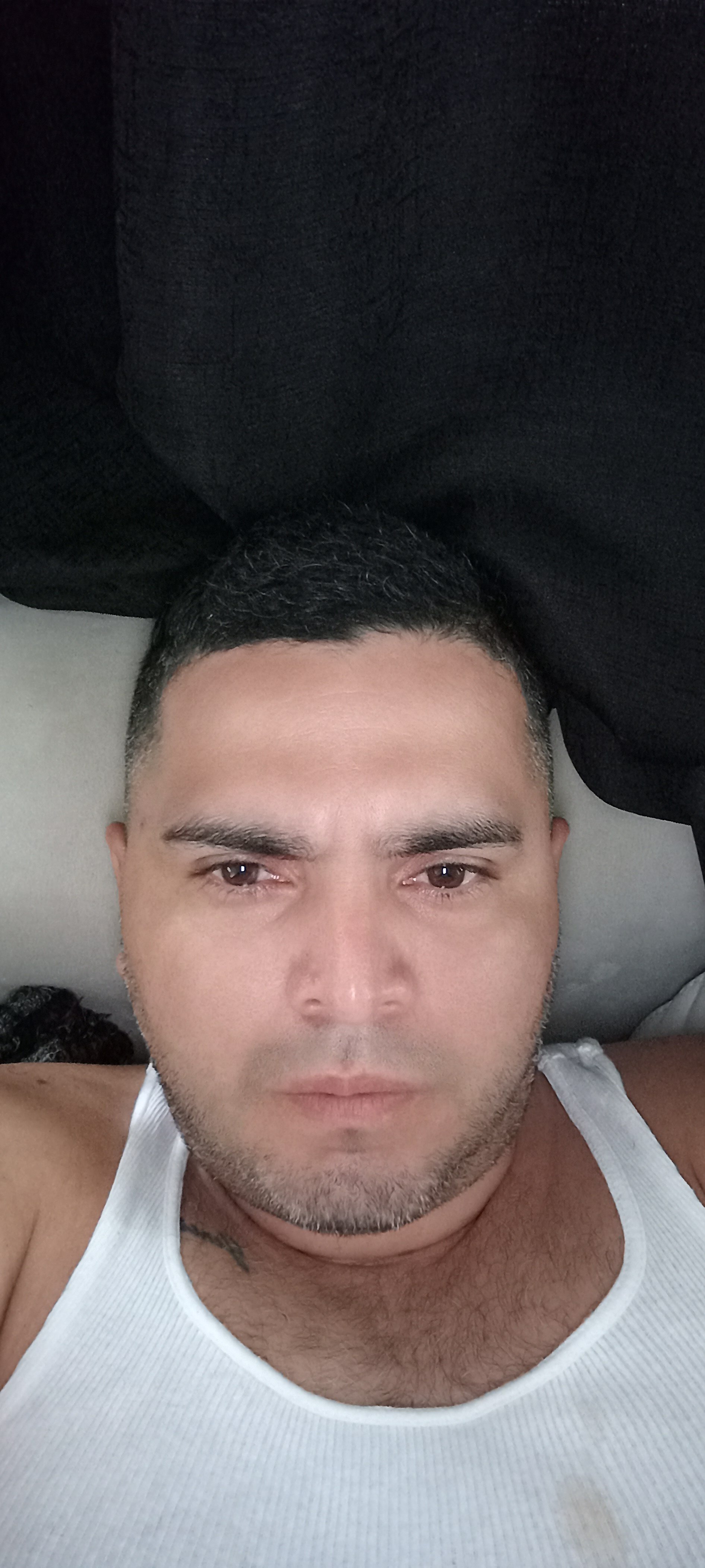 angelleal37