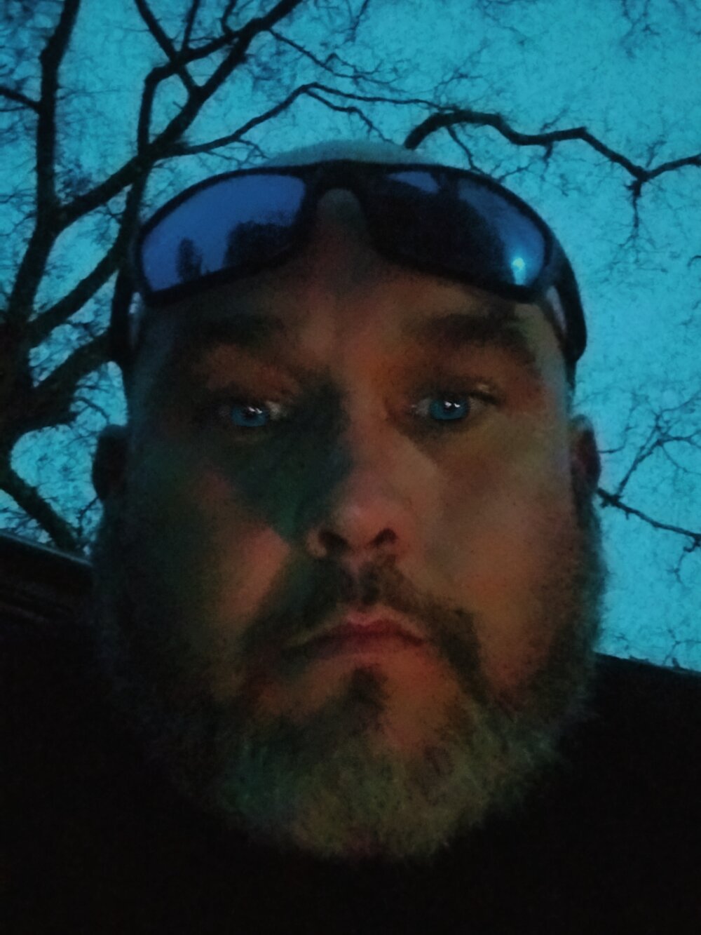 tatteddickdude's most recent online preview