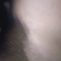 AloneDick's webcam live show