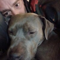bigcockbeezy35's Offline XXX Chat