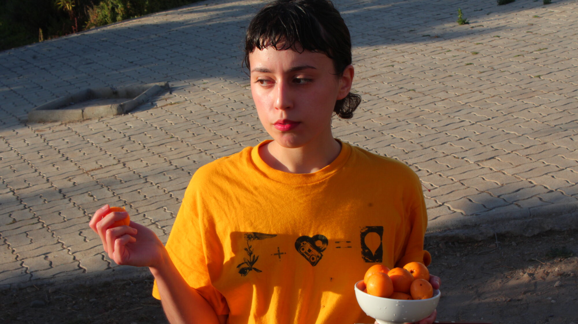 petit_conejin