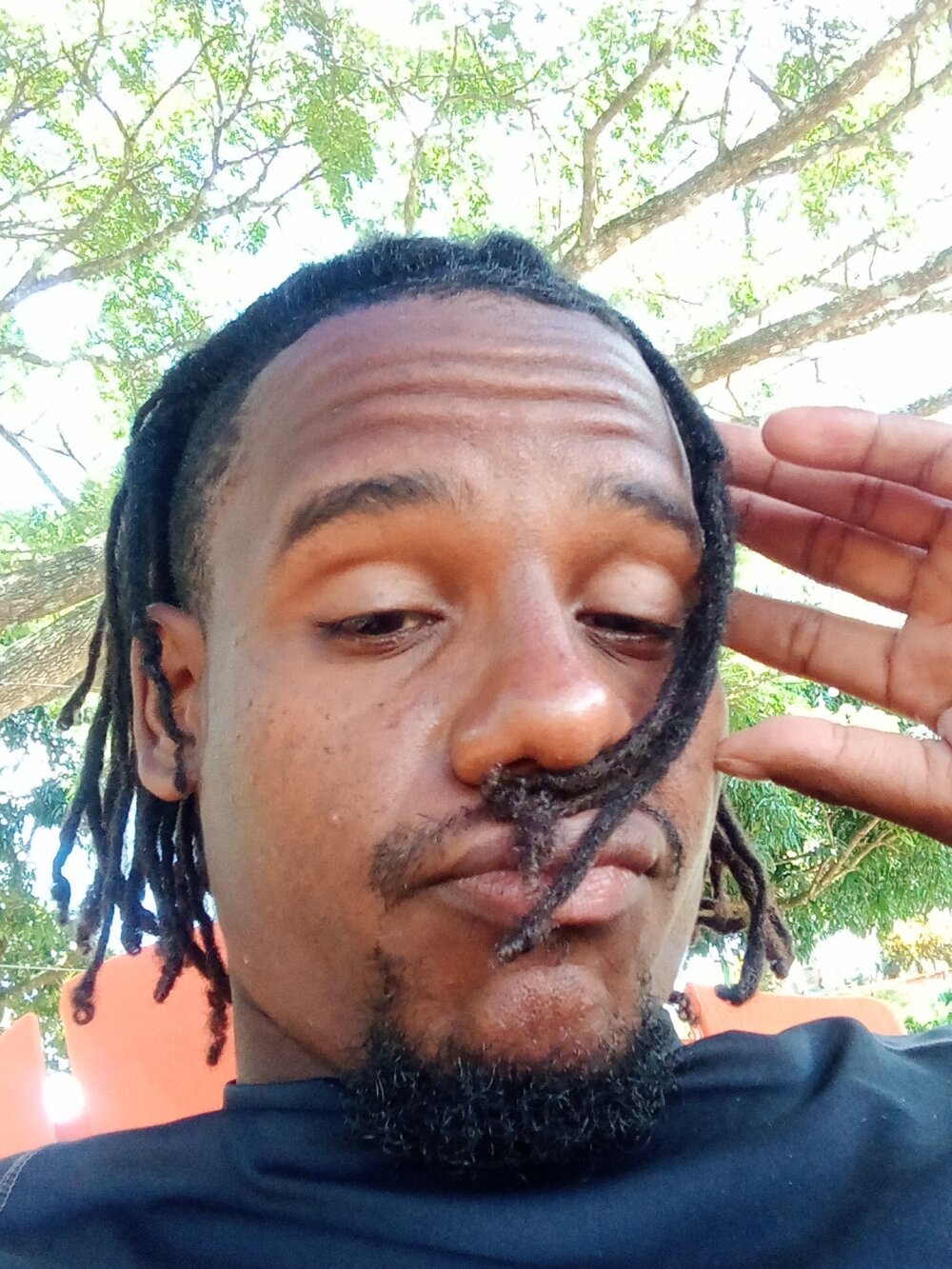 rectilianoblack