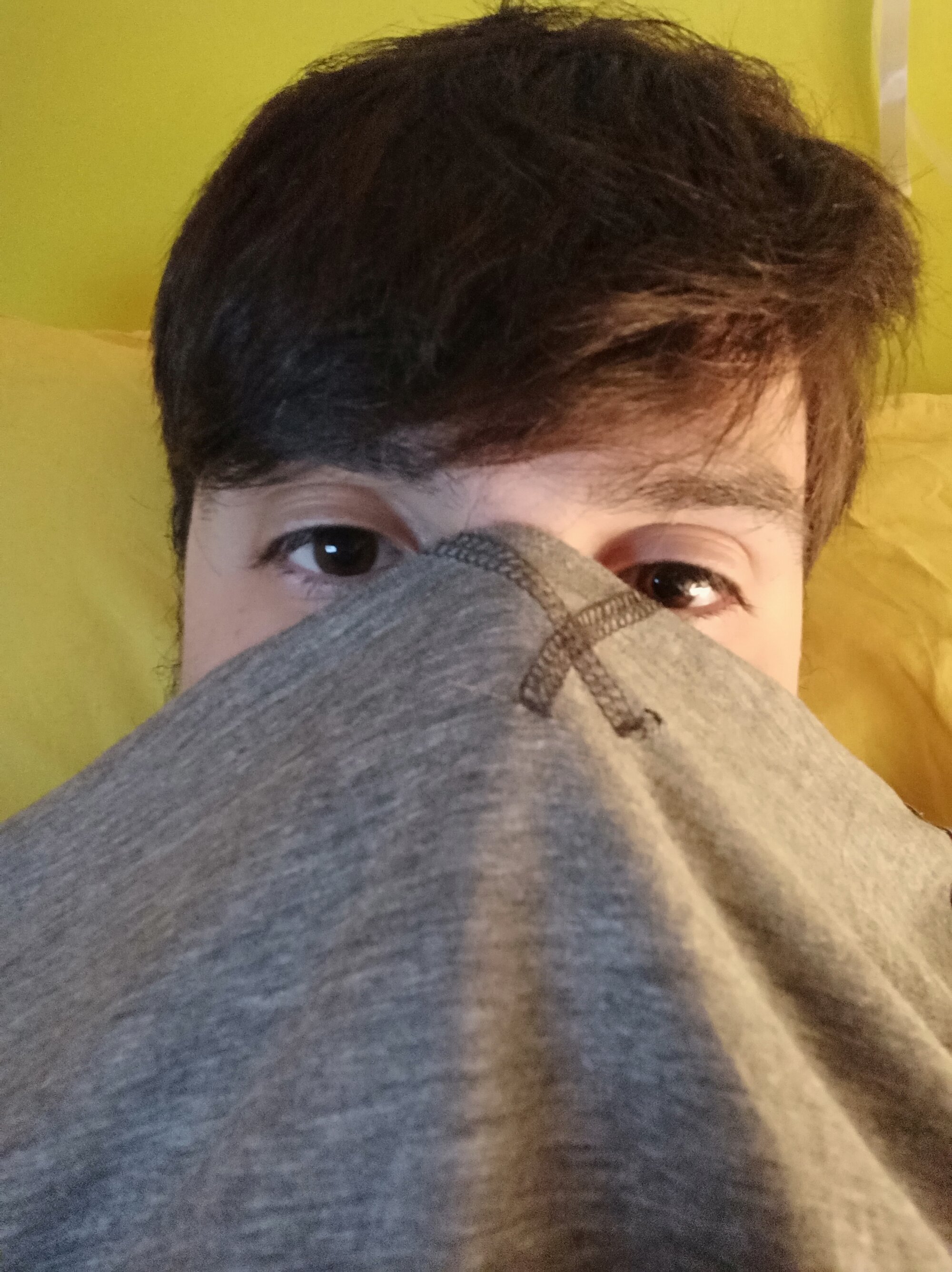 Solesfan live webcam