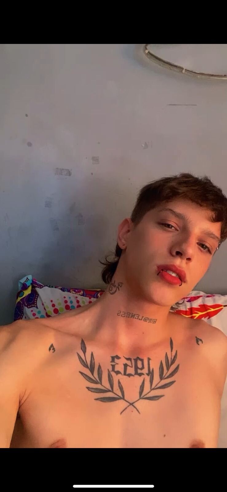 apolo_cock