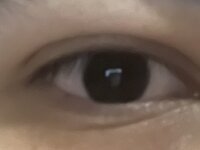justwanttocum77's Offline XXX Chat