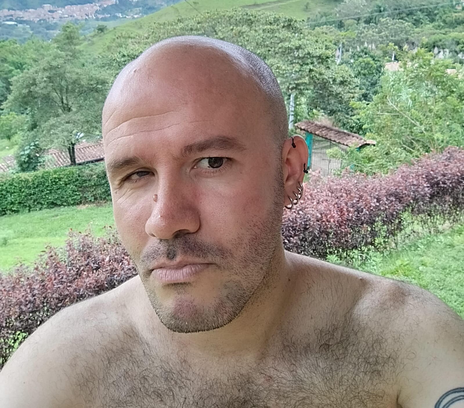 Stallion_Mendez