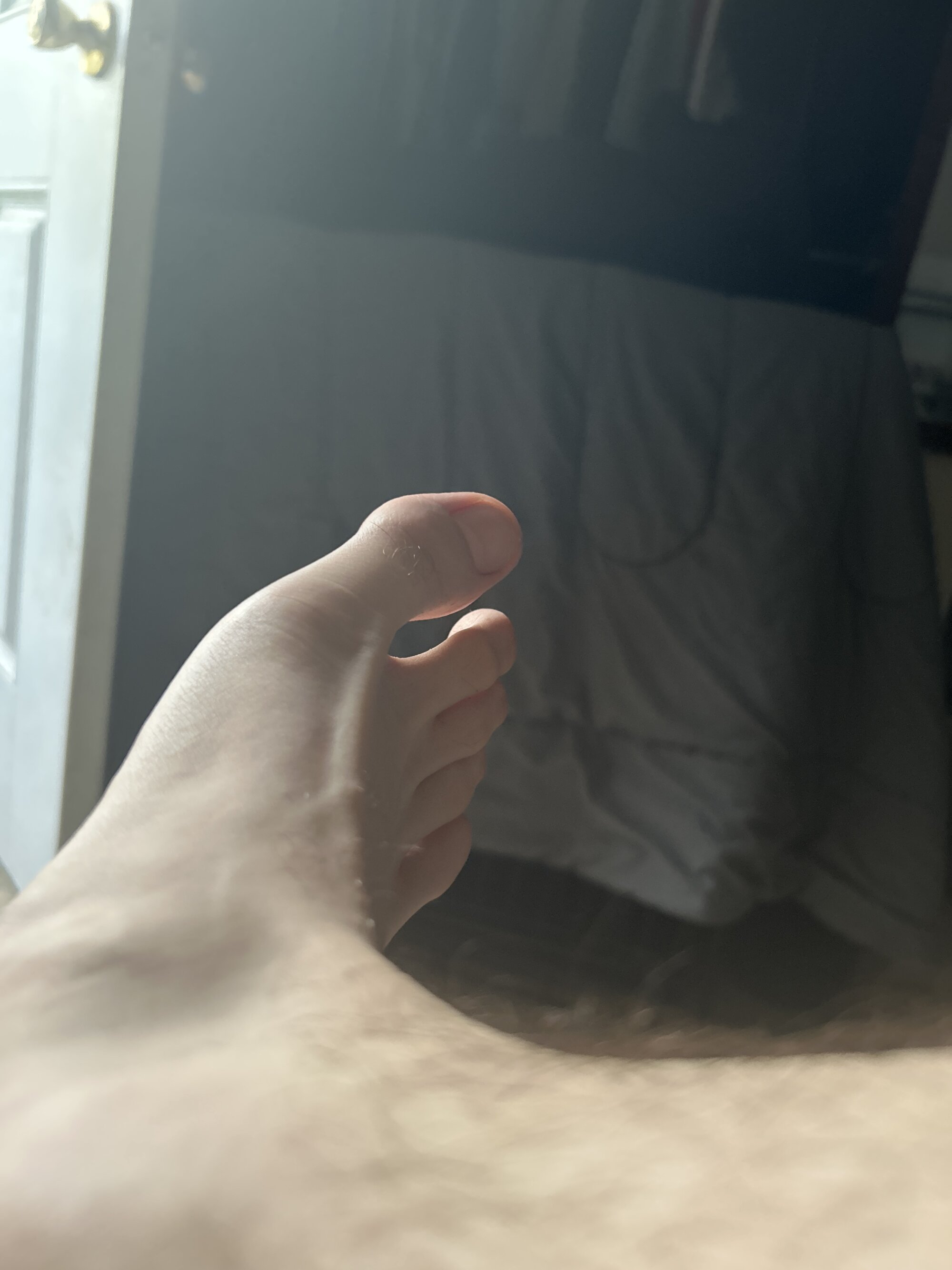 stock4