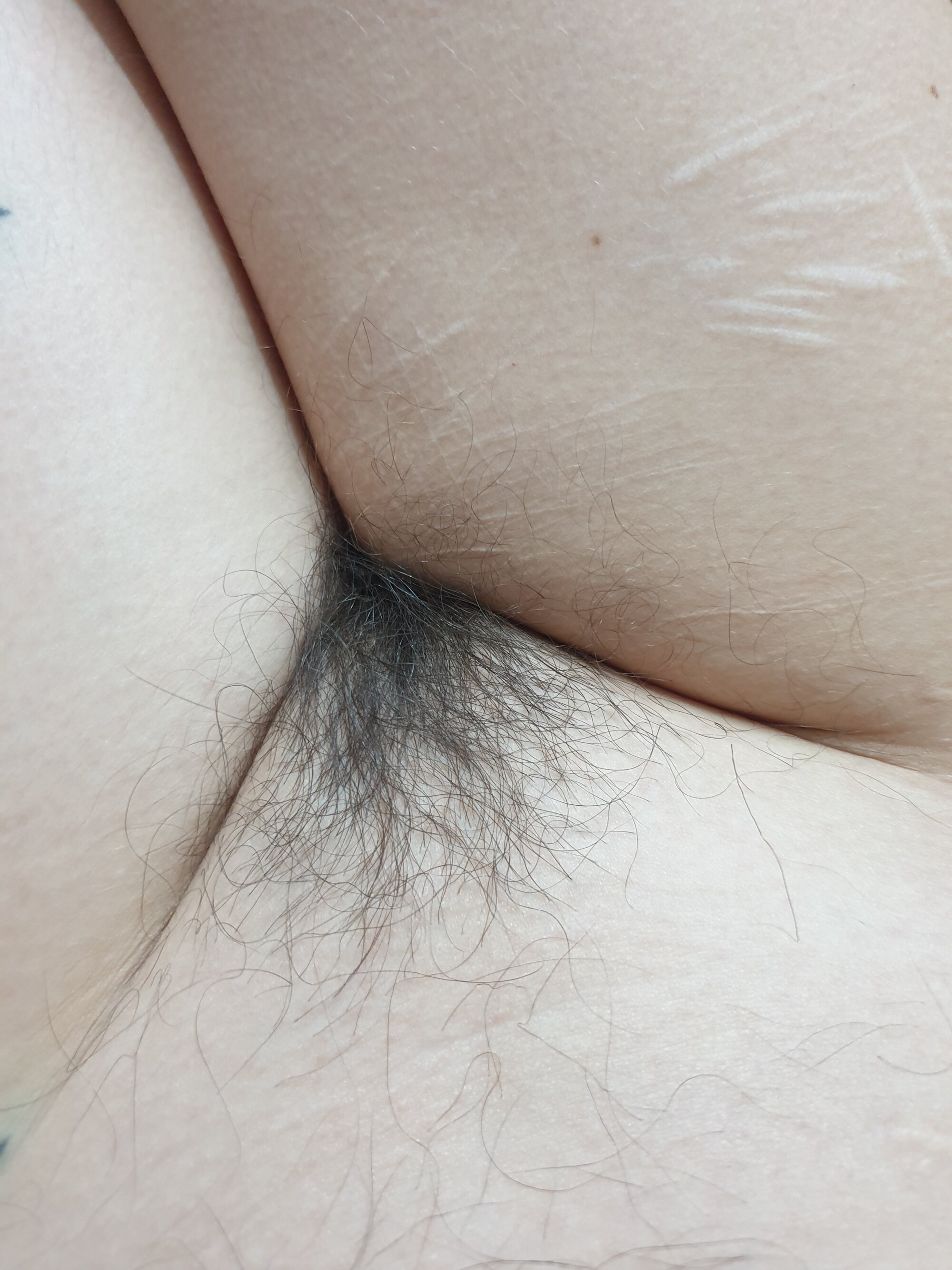 Lubrichippie