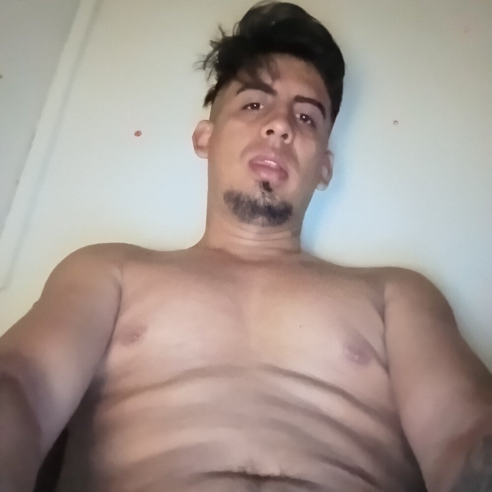 pollaelectrica77