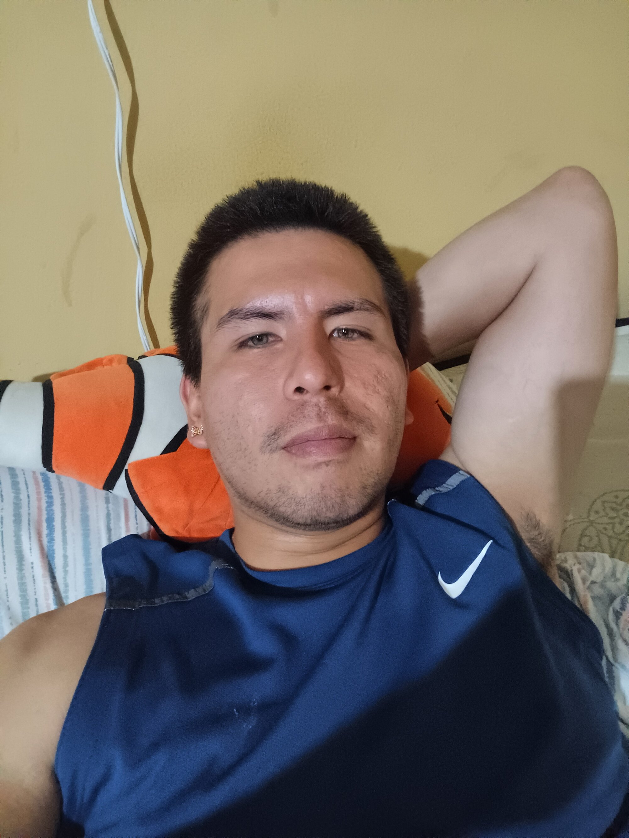 gatoriosx