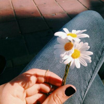 Dhlp77 Live Cam on StripChat and RICams