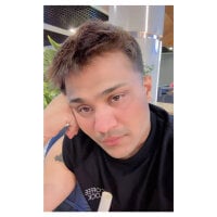 Модель TroubledRam