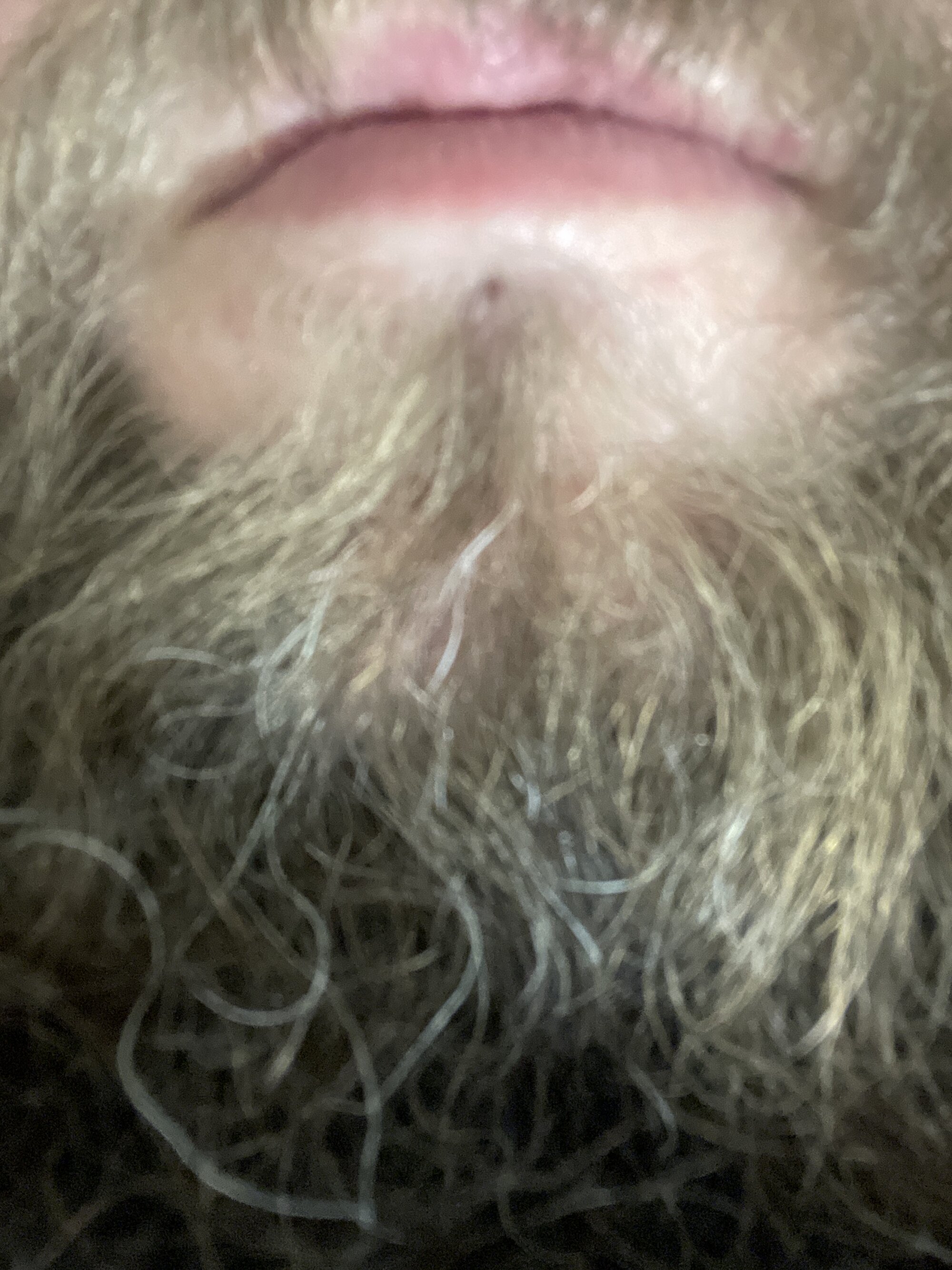 thatlildick420