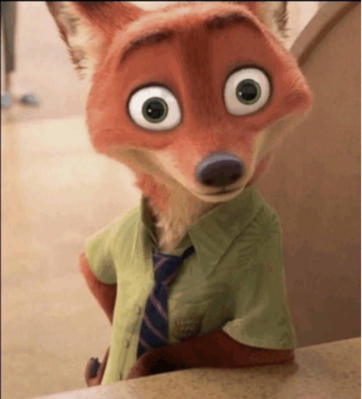 mecchauddu50