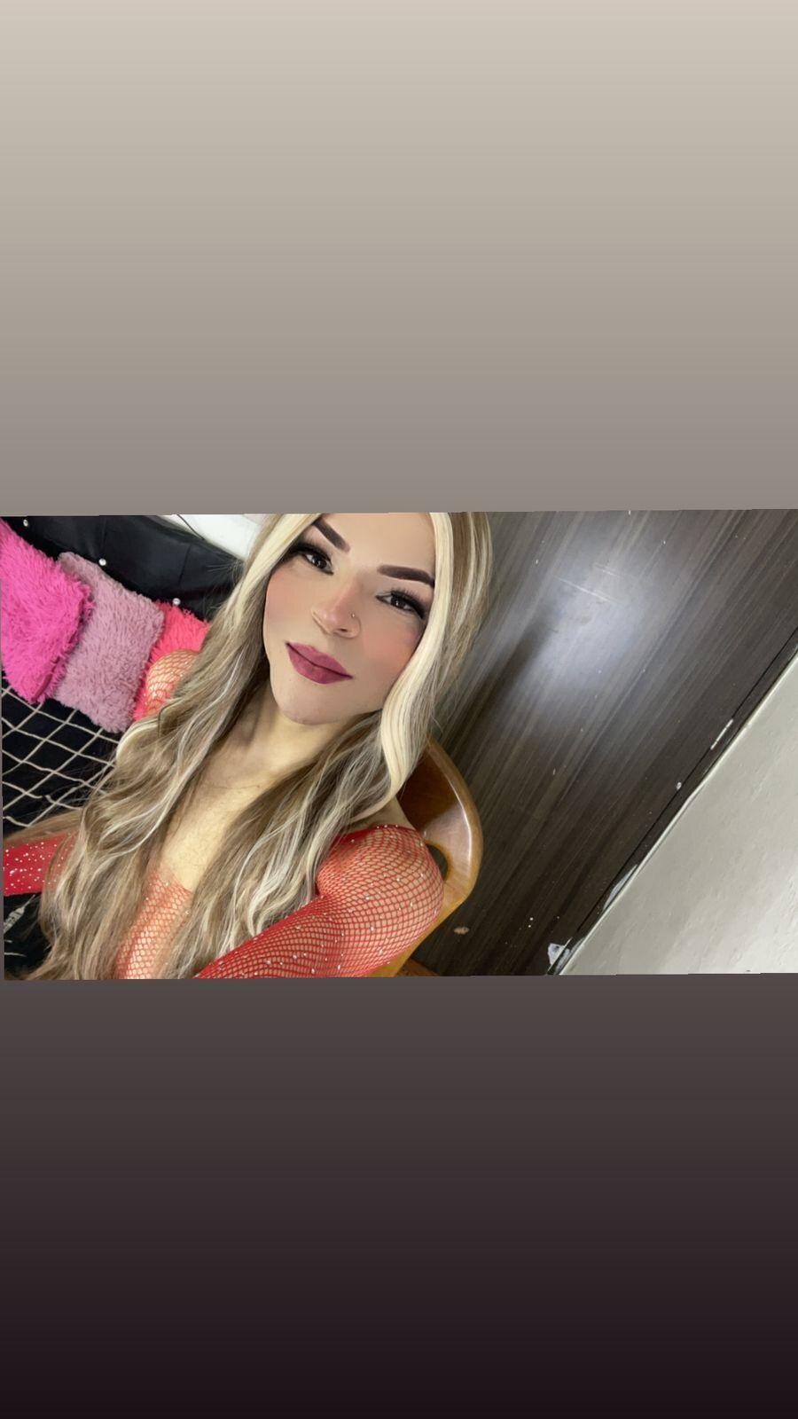 cattleya_exposito