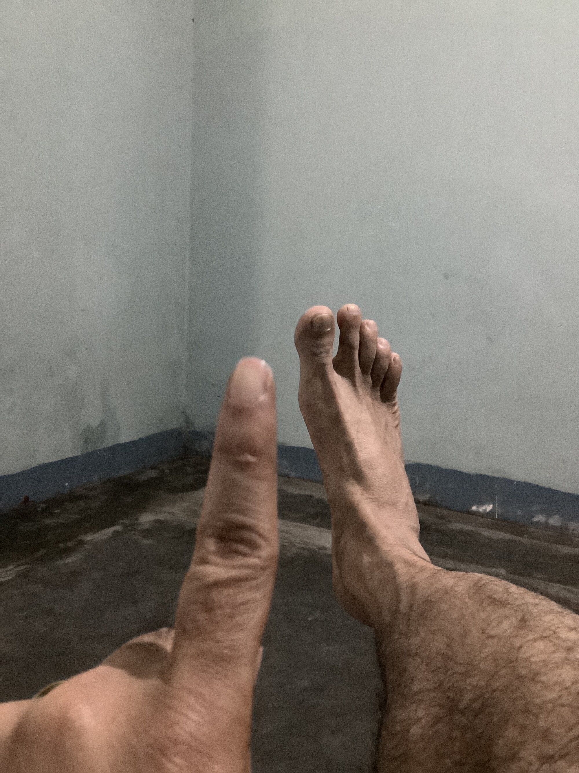 VastNoon95 live webcam