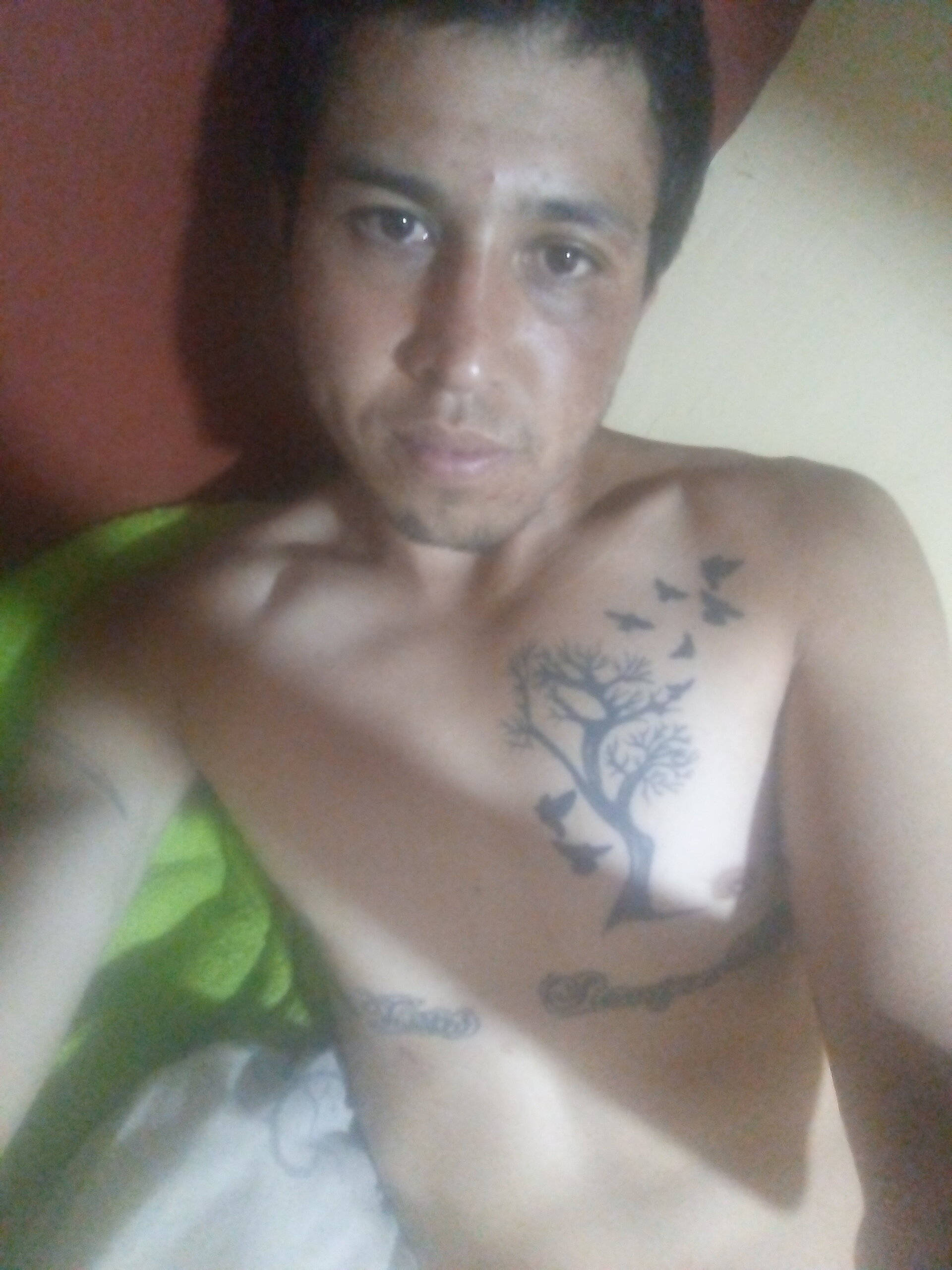 werito13ven