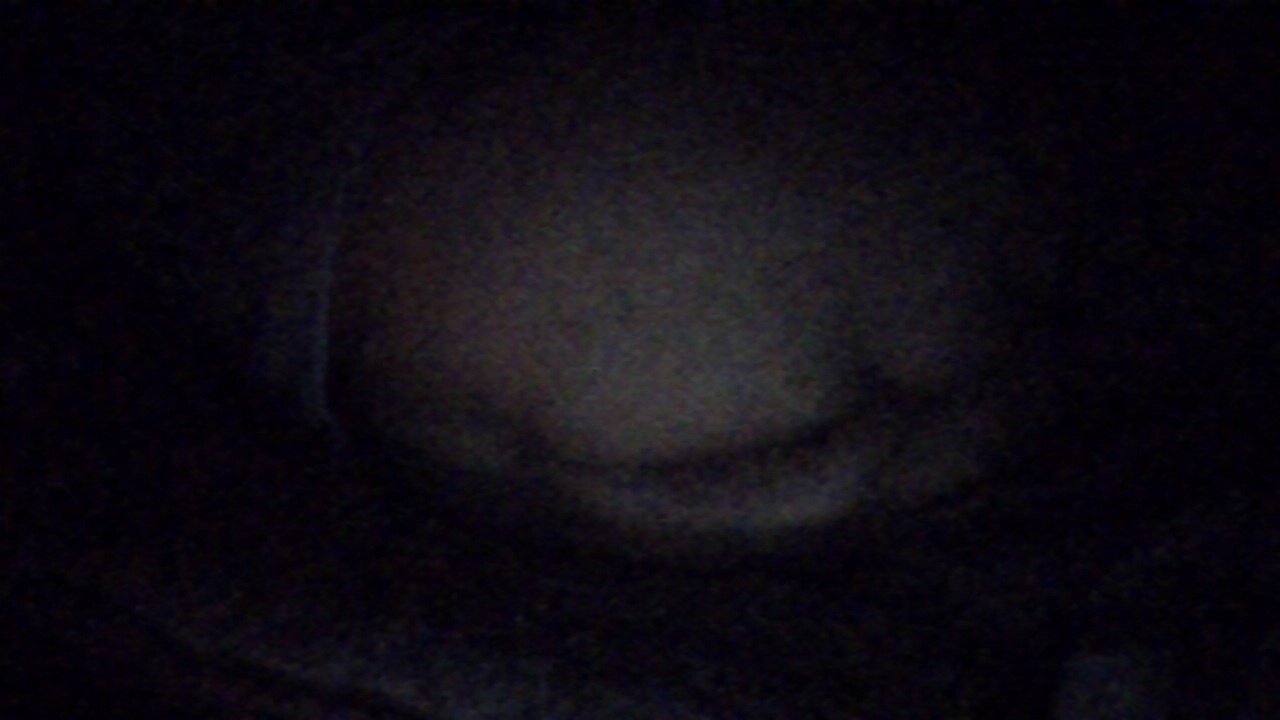bugus777