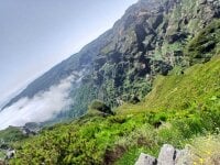 Staseqn's webcam live show