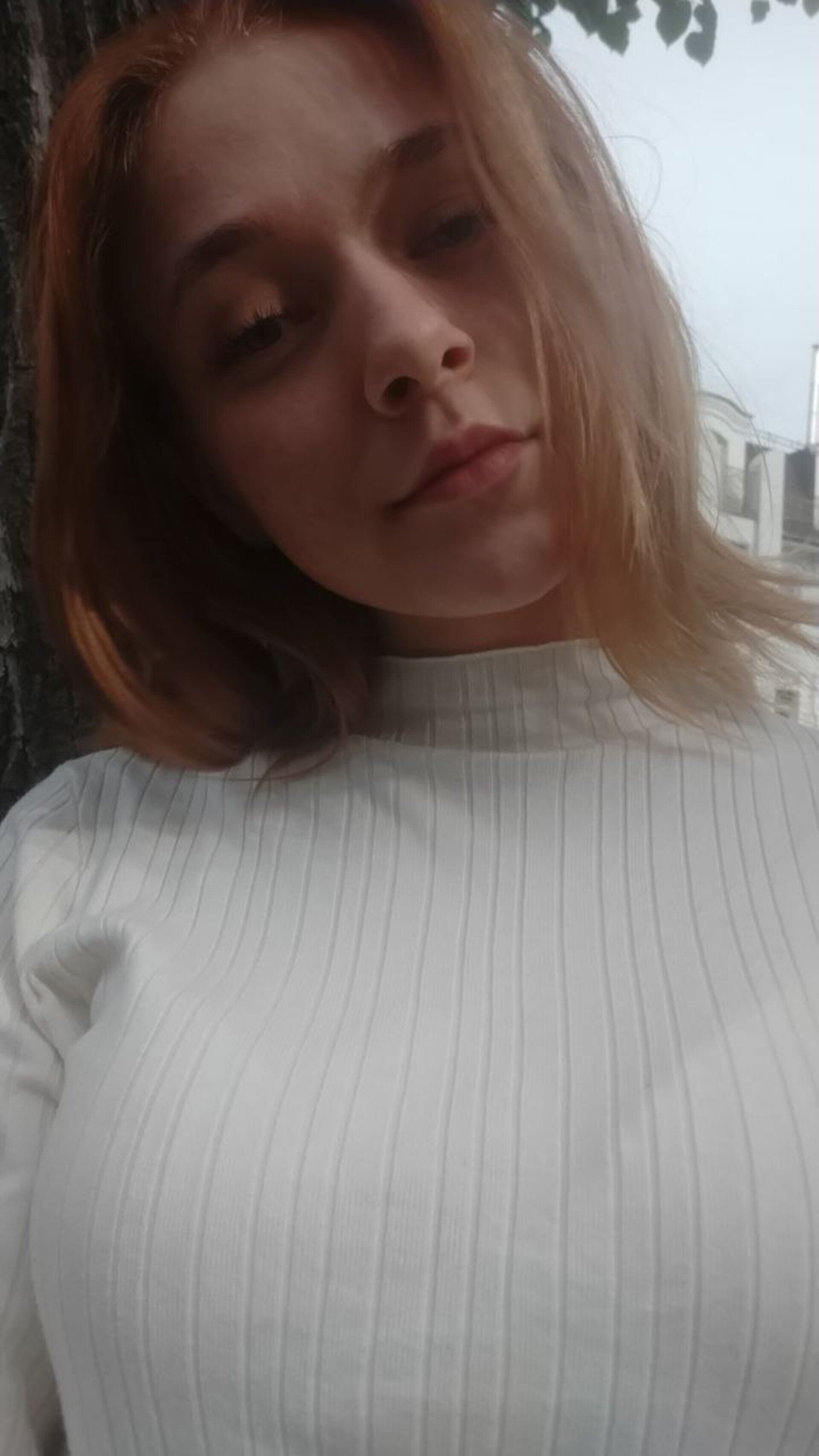 MoireFake