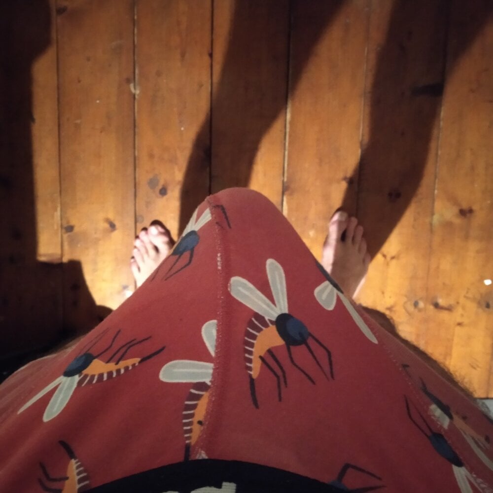 kklongs from stripchat