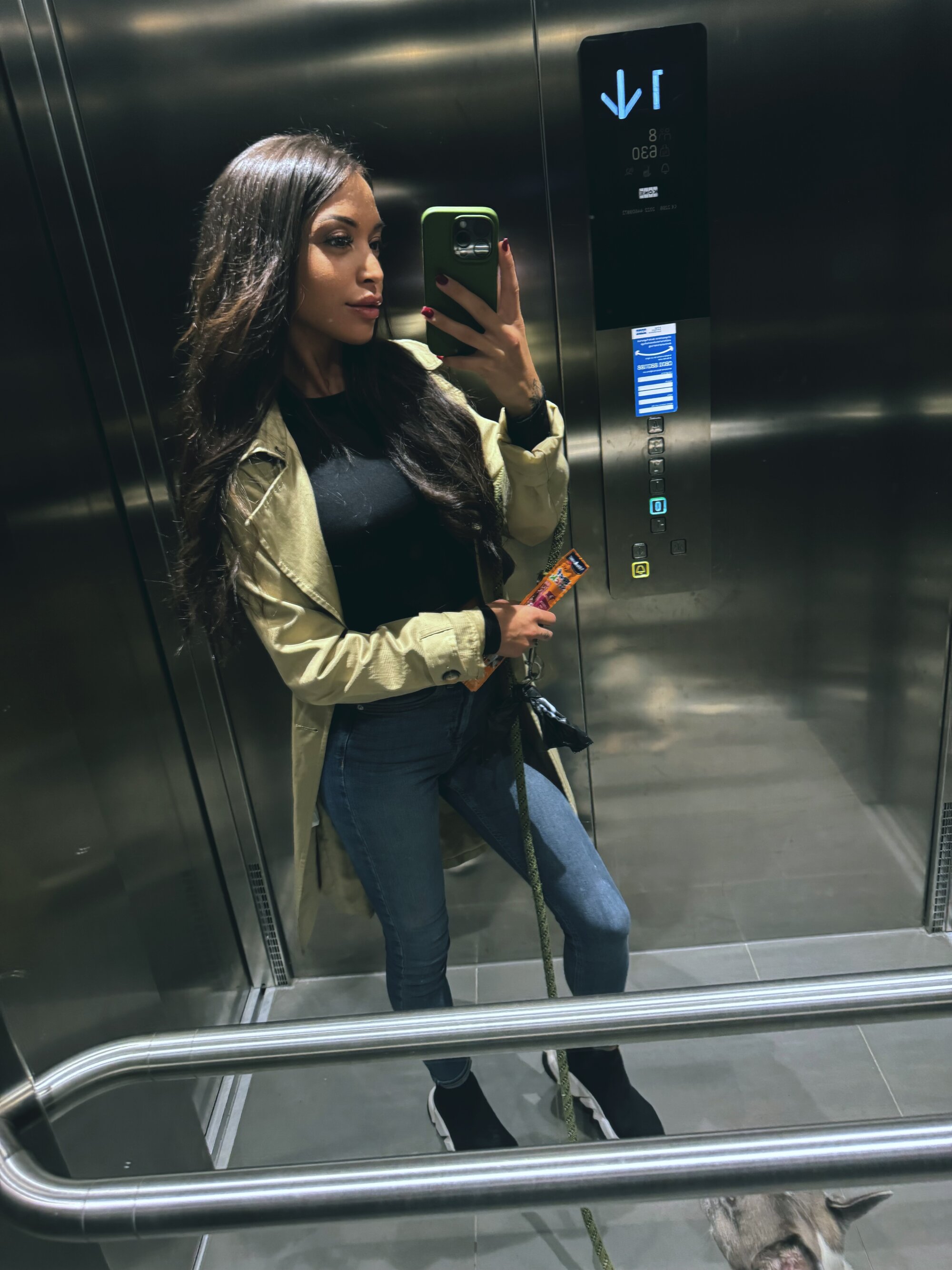 Skinnygizem