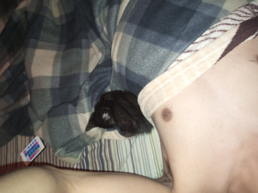 zumboii from stripchat