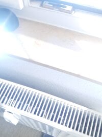 Bigdick420anal's webcam live show