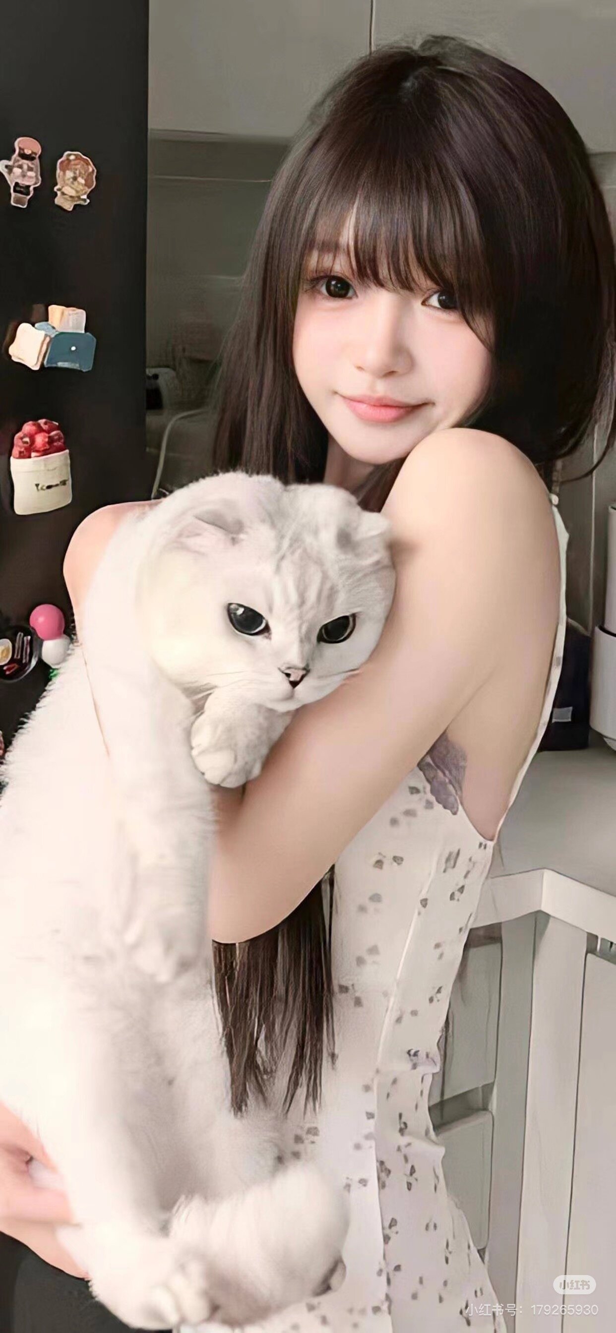 Bebe336