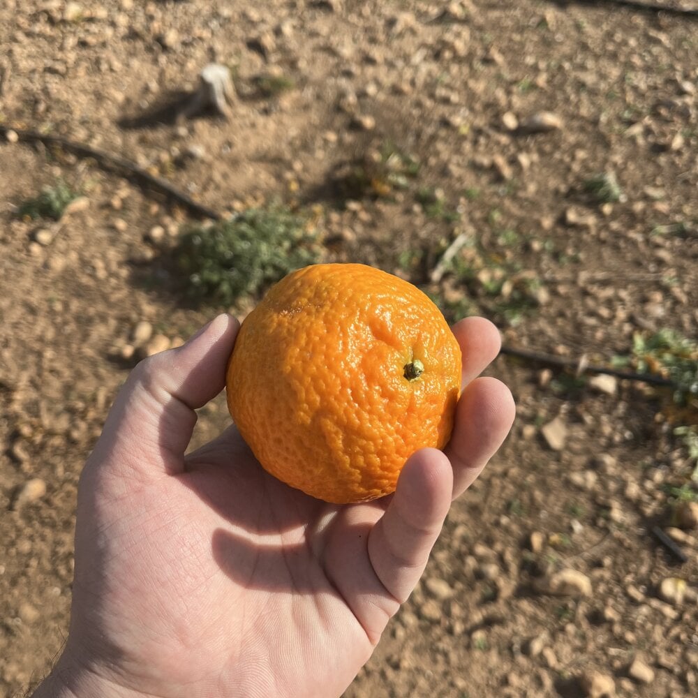 Chat XXX offline de Tehniktt