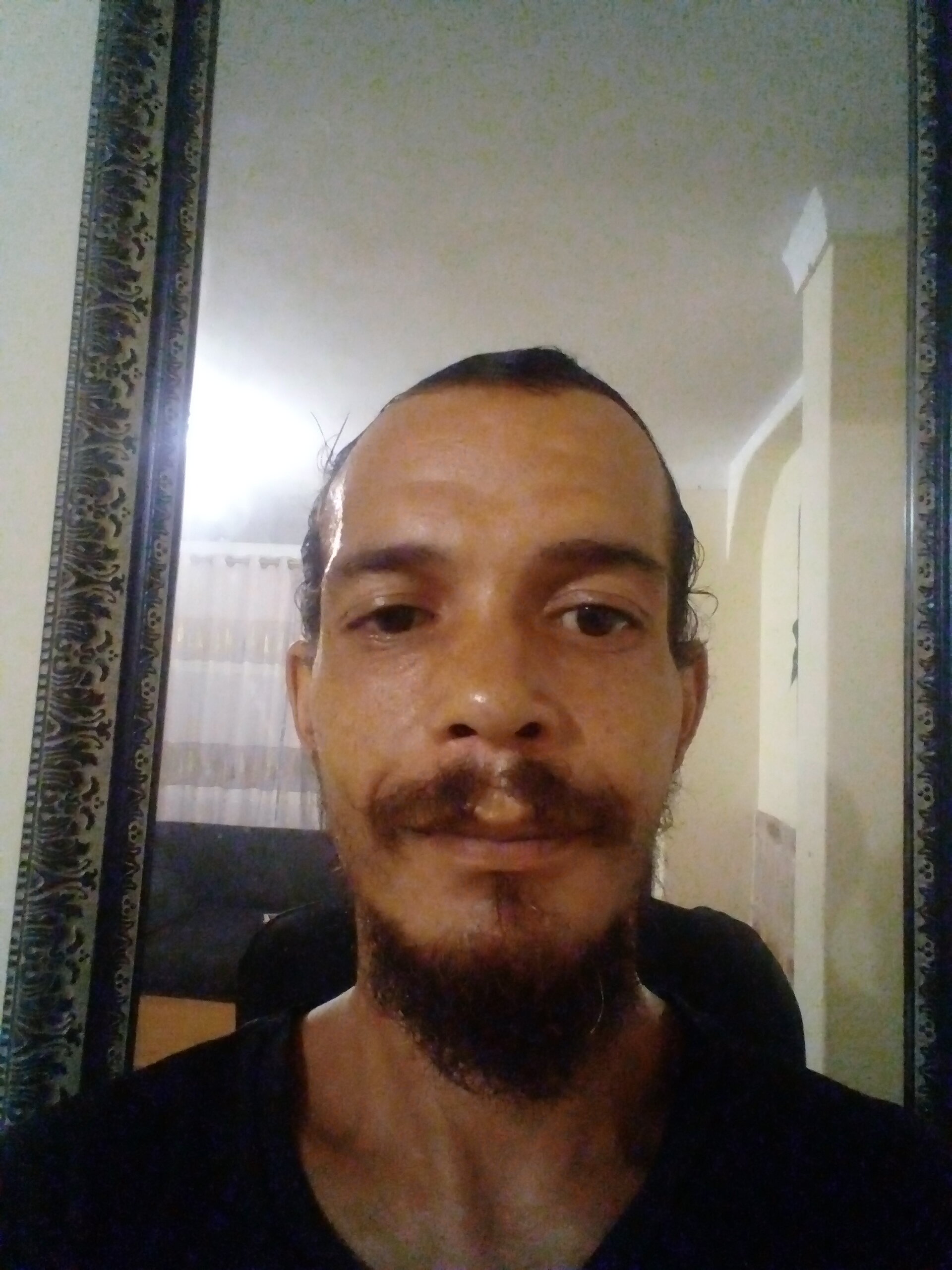 dalecarey