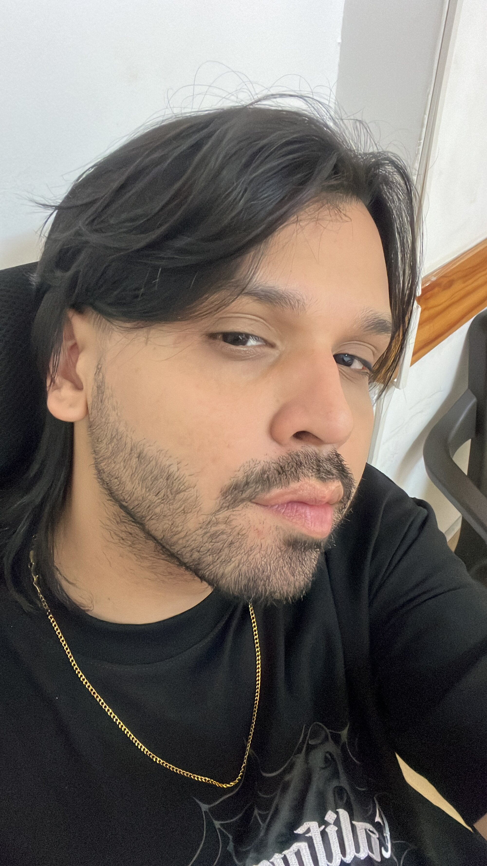 mrbear_latin