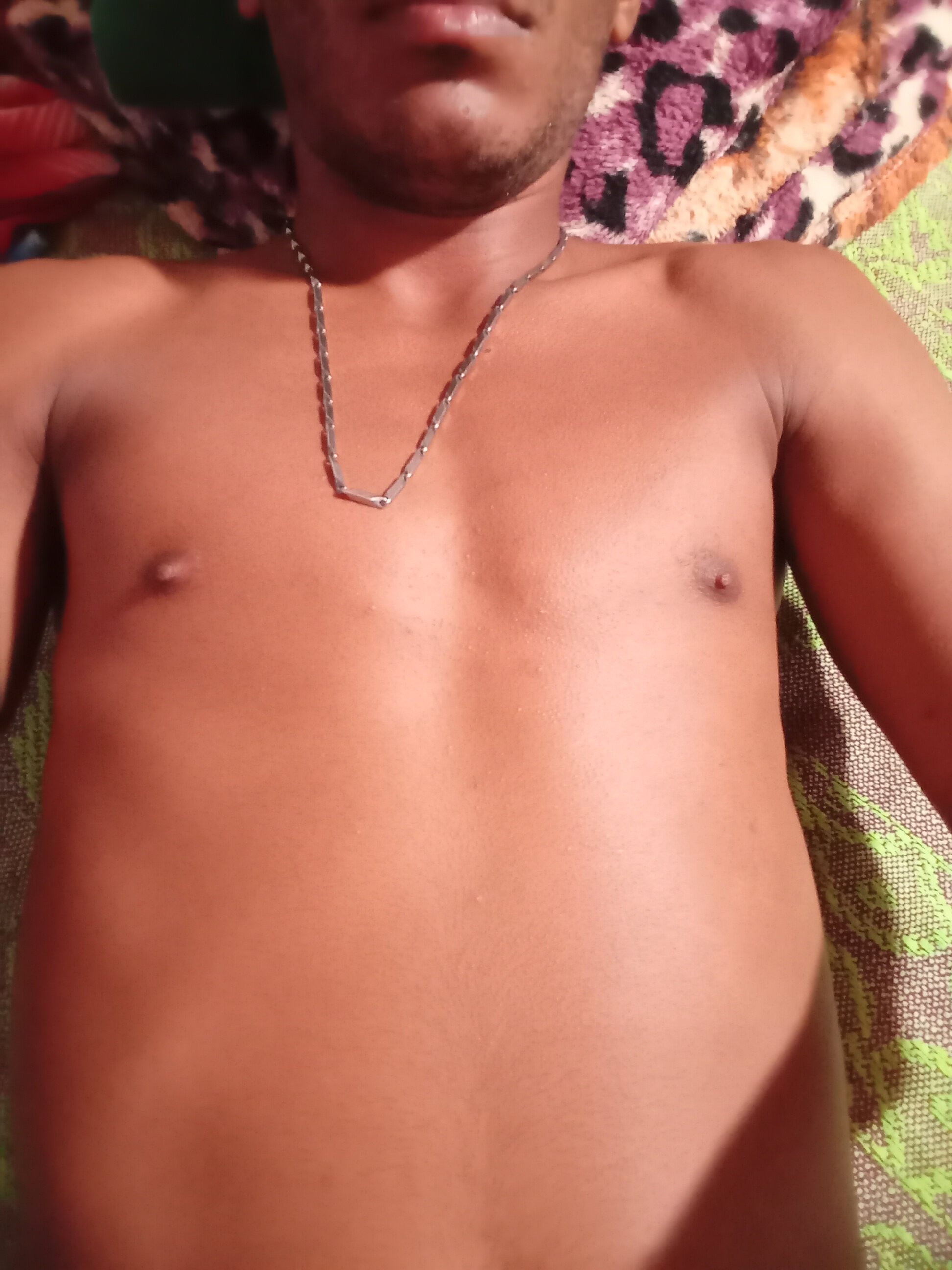 paupreto2648